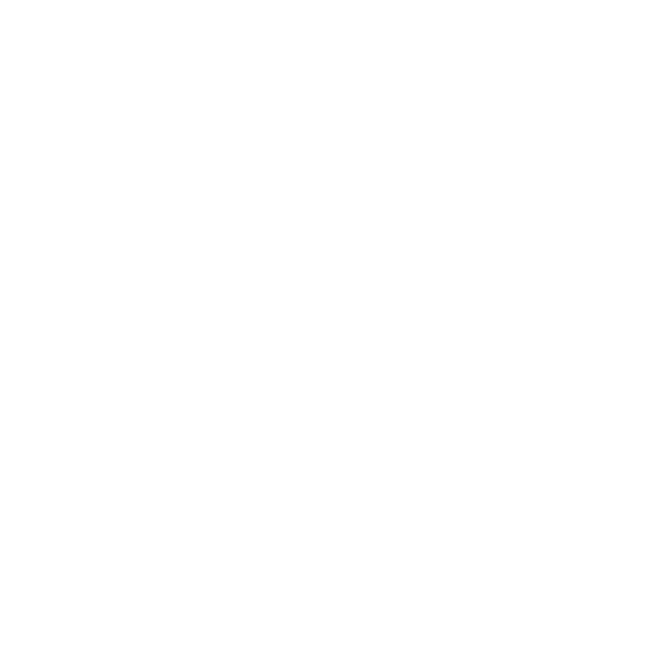 NS-Logo_White